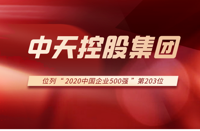 3044永利集团列2020中国企业500强第203位！